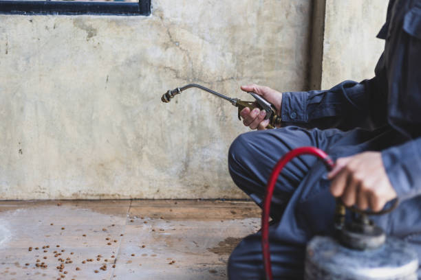 Best Residential Pest Control  in Milan, OH